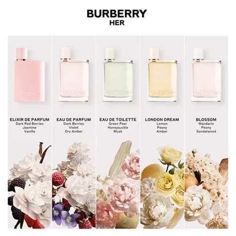 burberry her eau de toilette dupe|Burberry Her smell like.